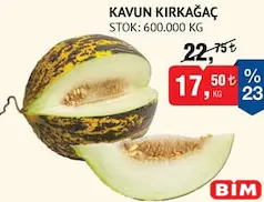 KAVUN KIRKAĞAÇ KG KAVUN KIRKAĞAÇ KG